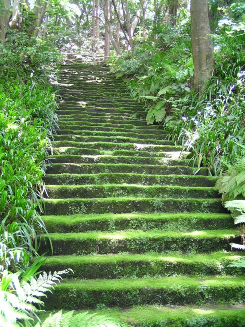 「こけ寺」妙法寺のこけ石段