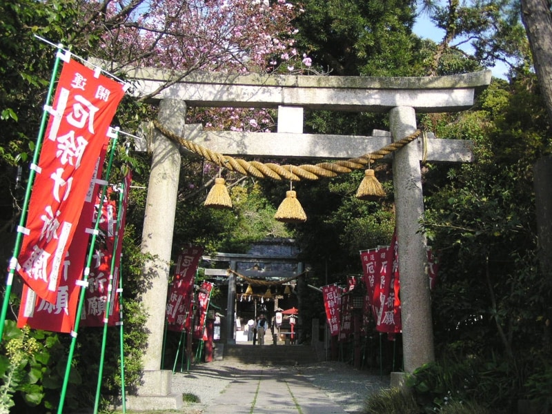 八重桜咲く八雲神社