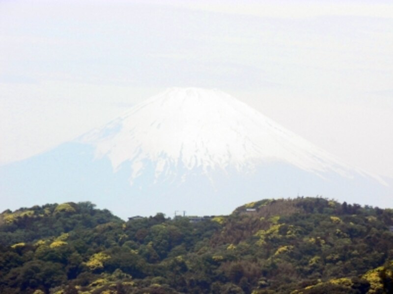 護良親王のお墓の前から望む富士山