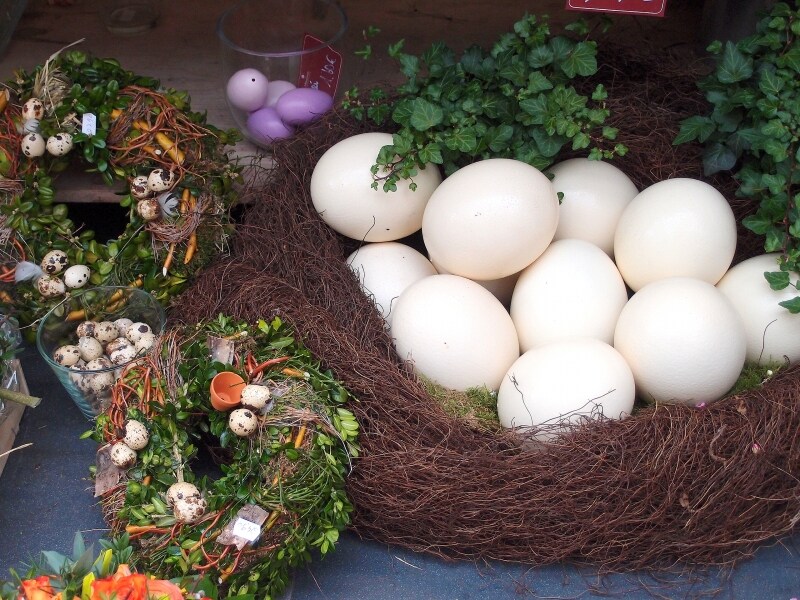 egg1