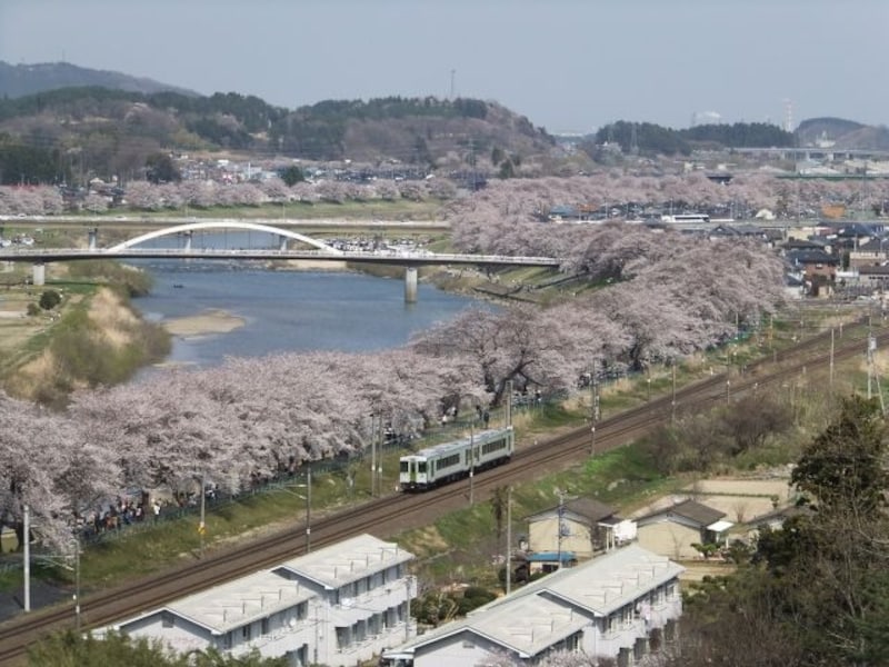 白石川堤一目千本桜(8)/船岡城址公園より船岡方面を望む