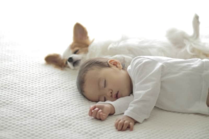 眠っている赤ちゃんと犬