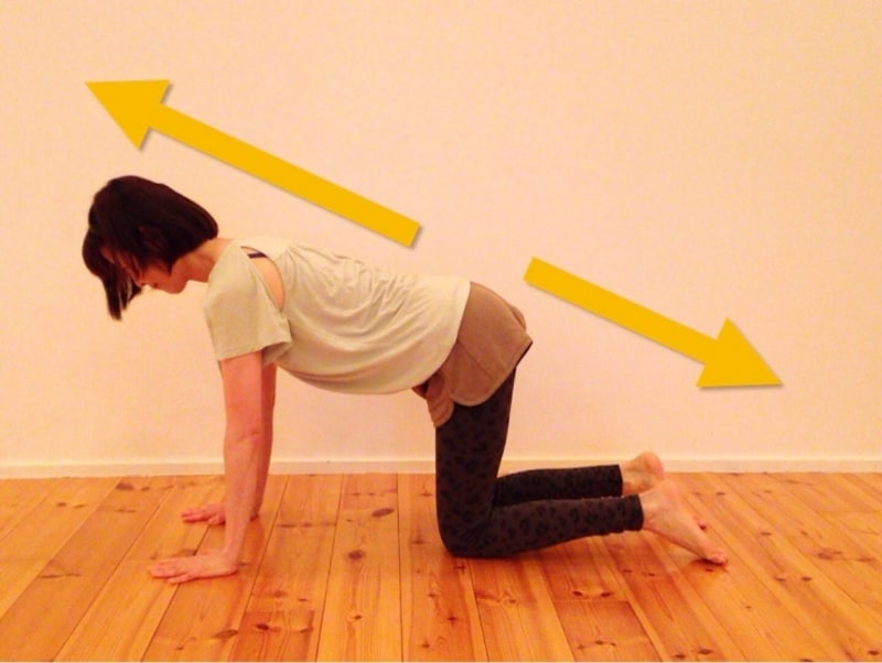 スタート姿勢の手足の位置を整えて