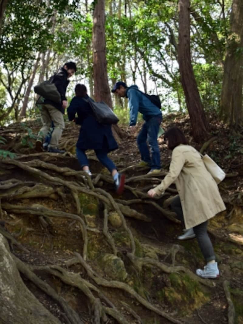鎌倉で、こんなに大変な山道を登るとは！