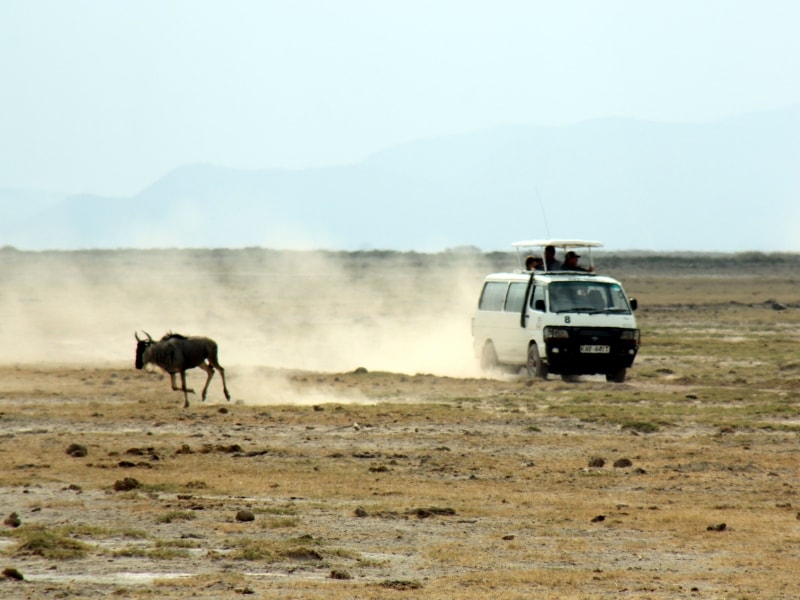 amboseli