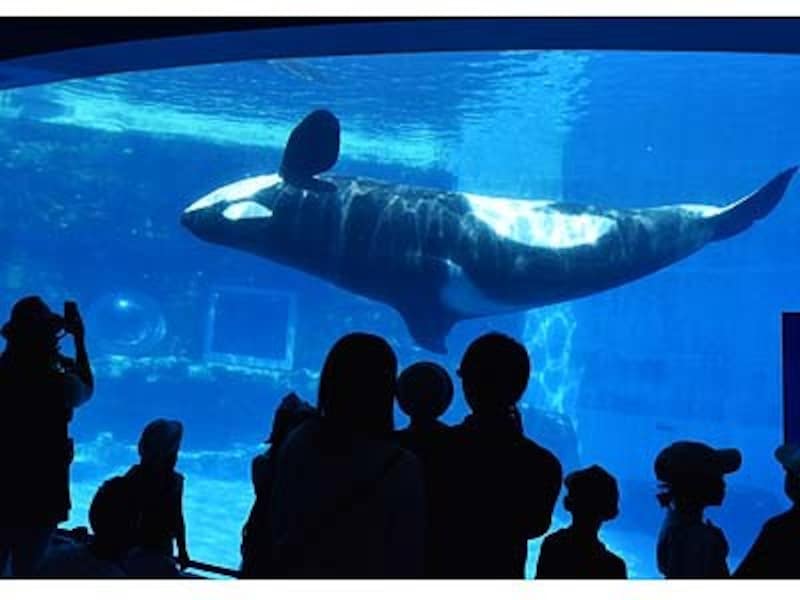 水族館