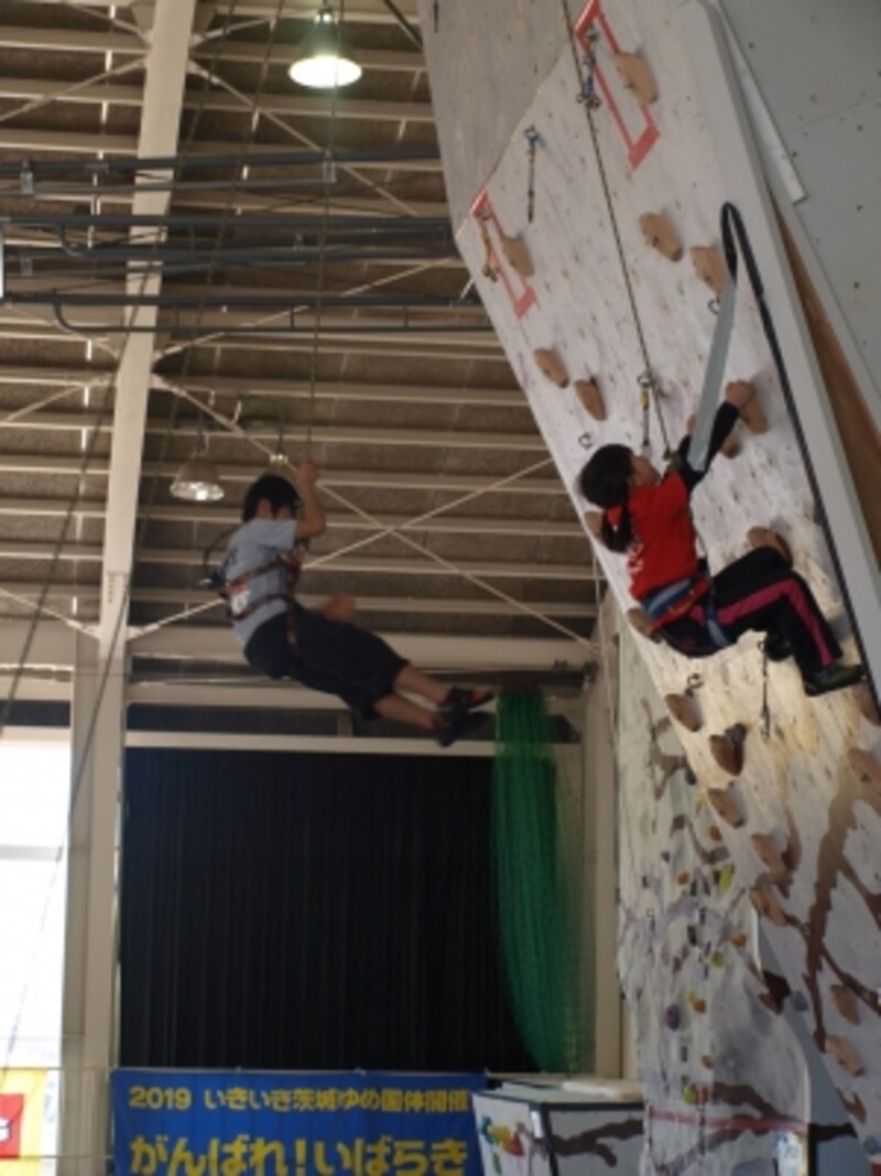 スピードクライミング