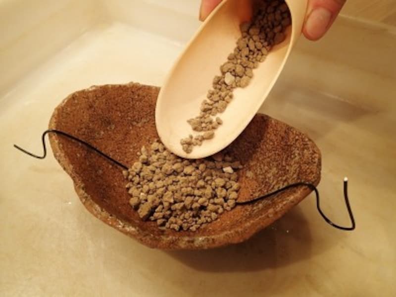 盆栽の植え替えのやり方を画像付きで解説 植え替えに適した時期は 盆栽 All About