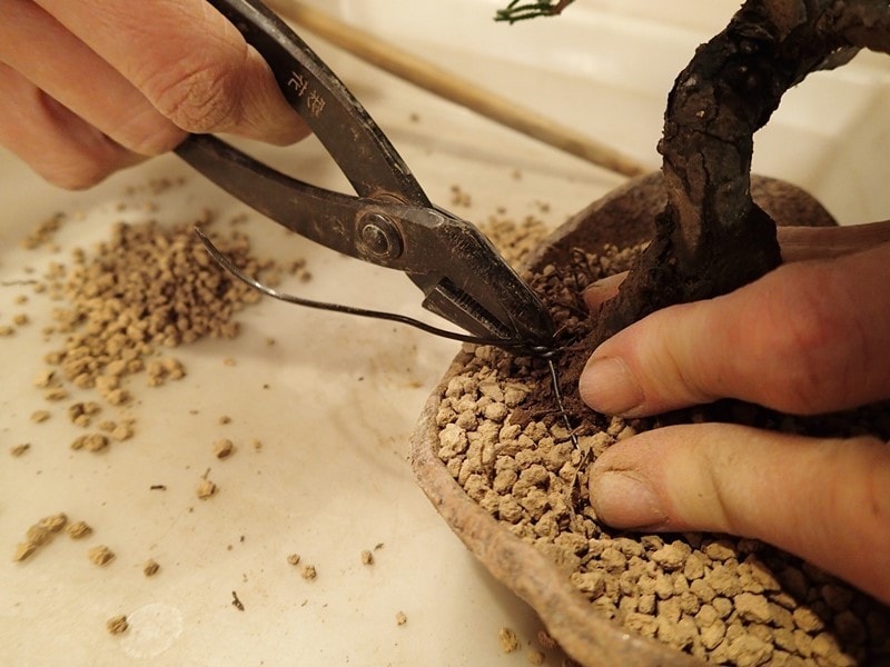 根留めの針金を両端から引っ張りねじる