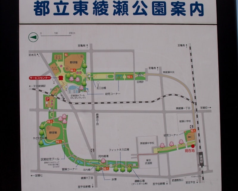 それにしても広い公園だ