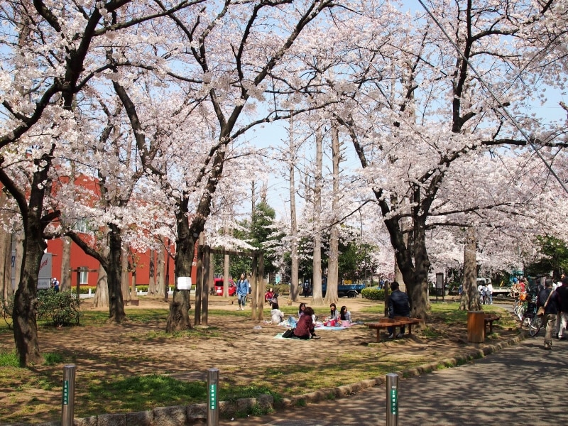 お花見をしている人たちもいる