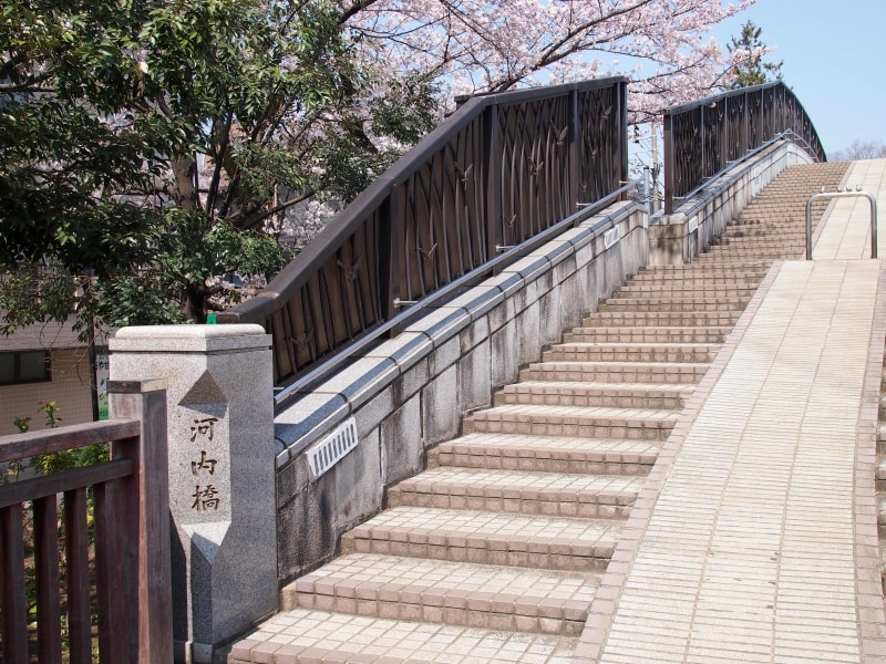 なかなか普通では見ることができない角度からのお花見ができる