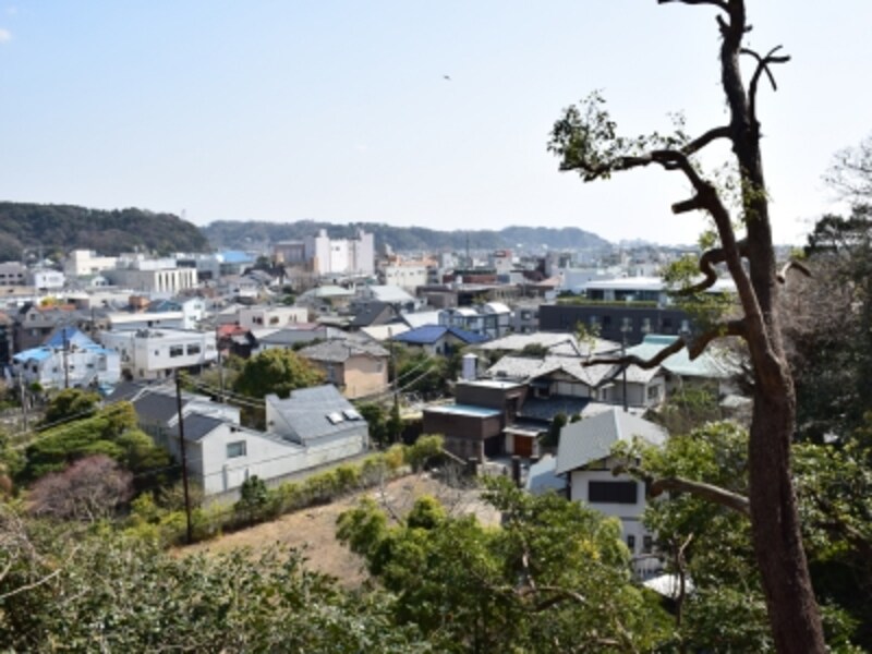 古我邸裏山からの眺望