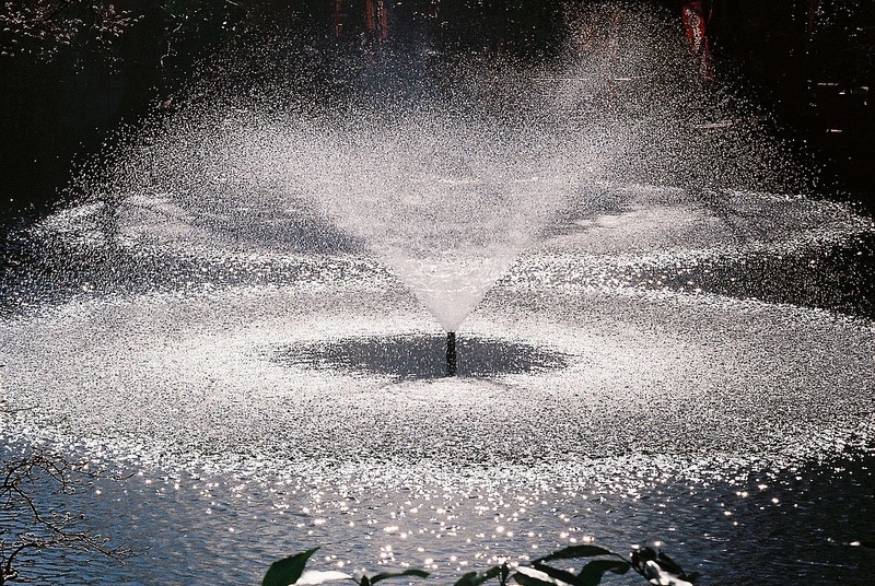 バルナックライカIIf撮影例