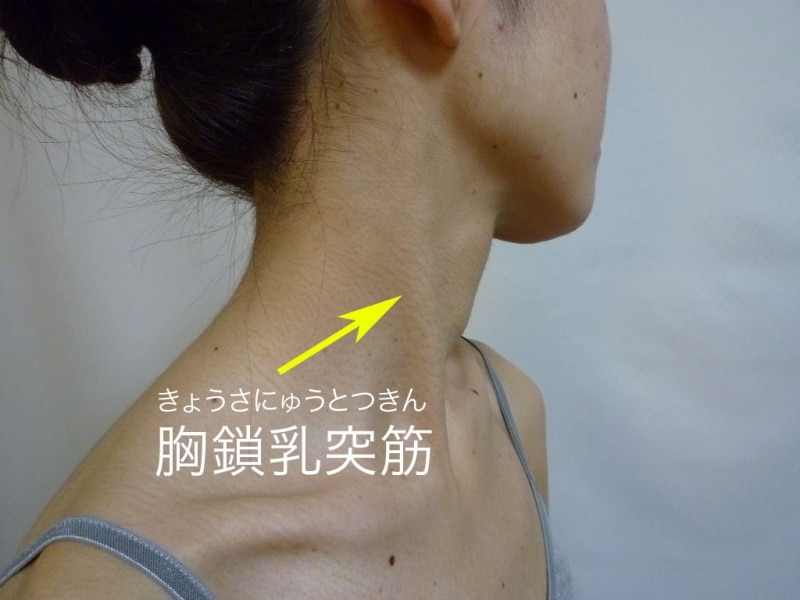 左を向くと右首筋に出てきます