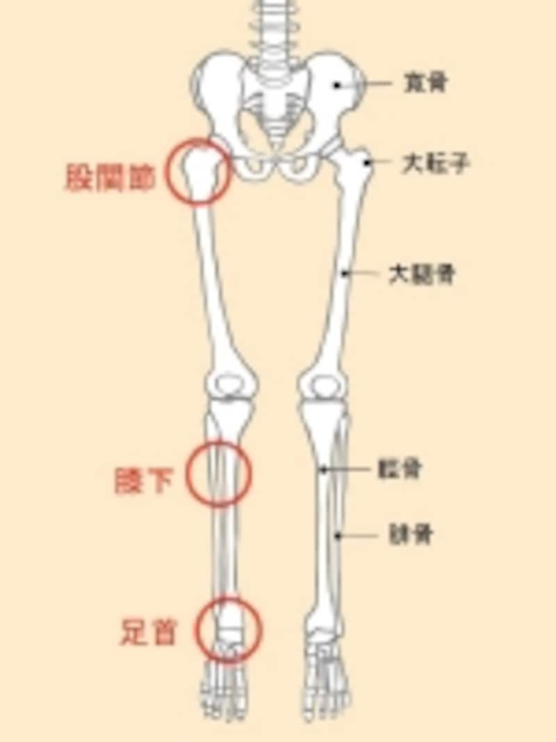 脚痩せ 骨盤ダイエット 欲張りエクササイズ 下半身ダイエット All About