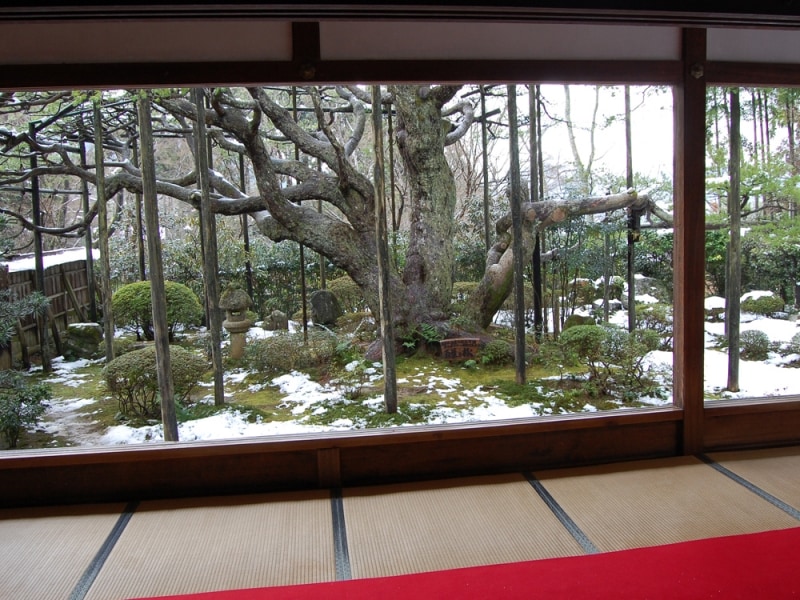 京都でゆったりお庭鑑賞