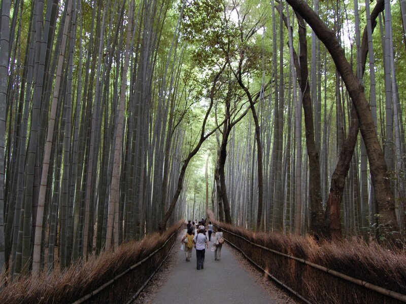 「一人旅」の旅行先、京都がダントツ人気！
