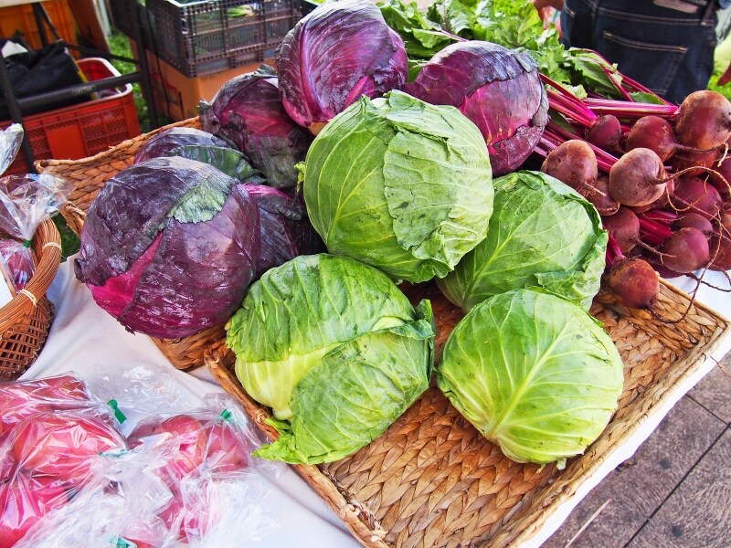 とれたての有機野菜が並ぶ