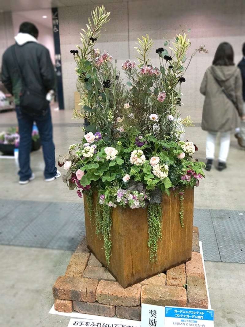 「URBAN GARDEN・春」