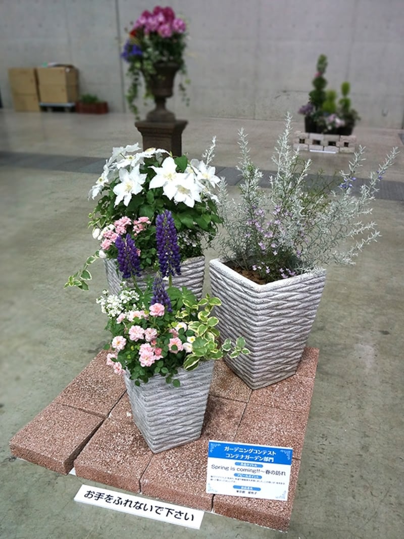 「Spring is coming!!～春の訪れ」