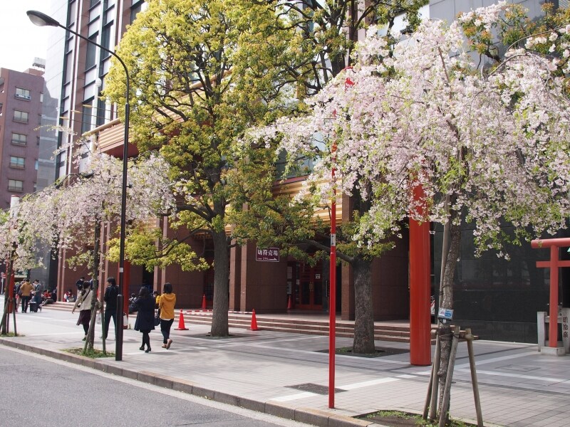 天気のいい日はこのあたりを歩いているだけで気持ちがいい