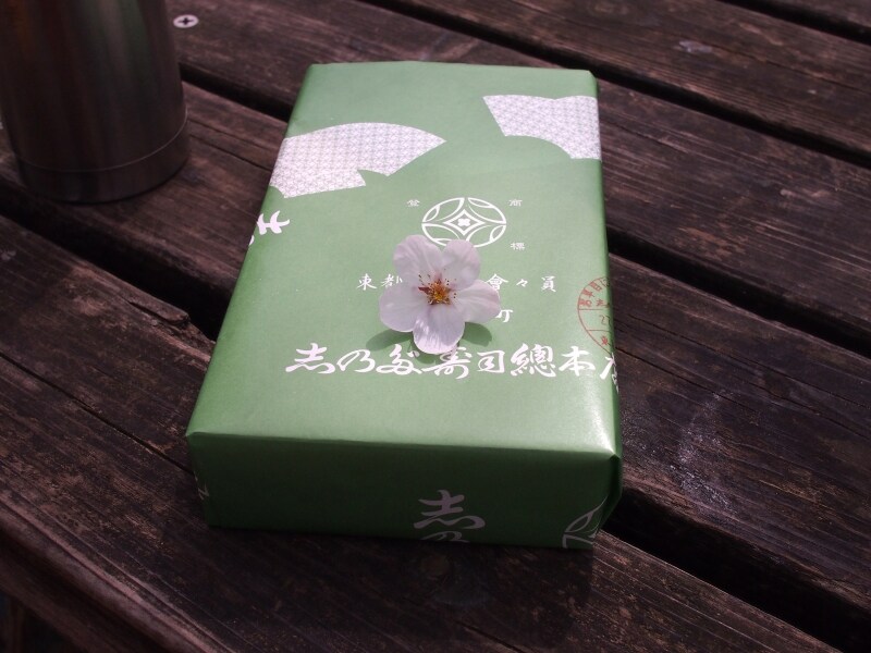 桜の花びらが落ちてきた