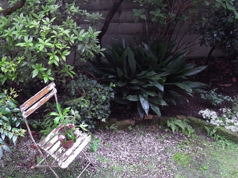 庭と椅子