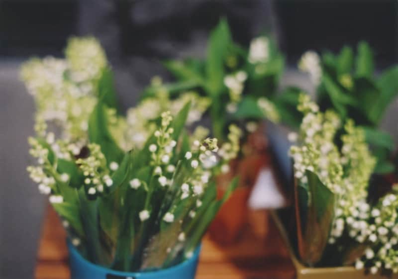 すずらんの日のお裁縫道具