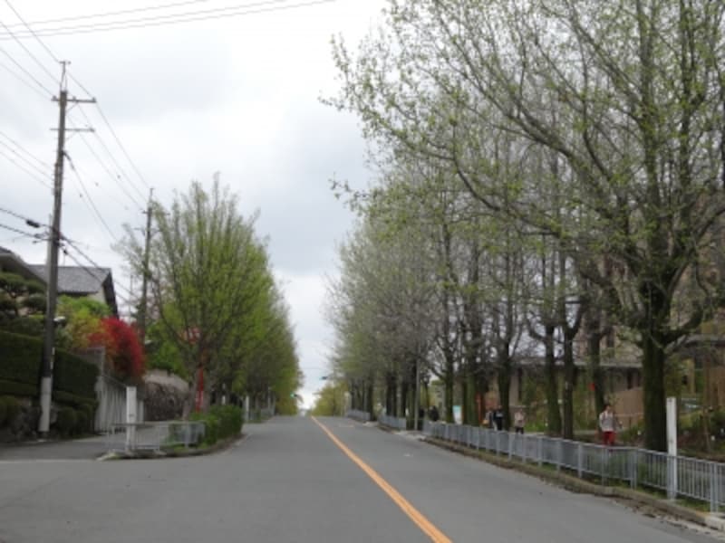 「大阪まちなみ百選」に選ばれている三色彩道