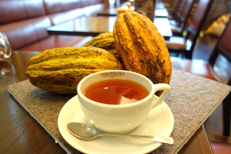 カカオとカカオティ