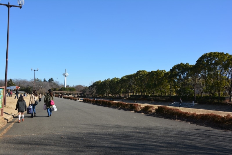 放送塔に向かって滑走路跡地に一直線に並ぶ沈床茶園の花壇