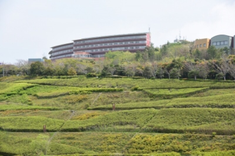 【BEFORE】4月中旬の眺め