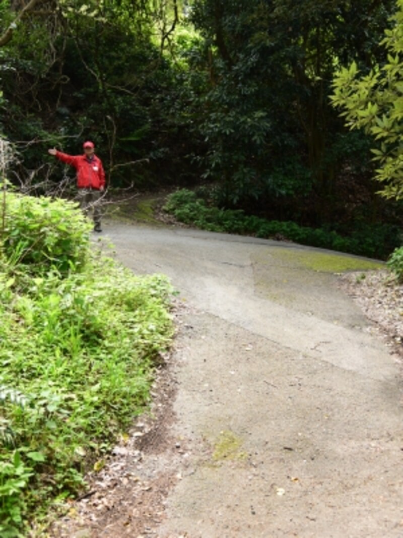 左の方へ進みましょう