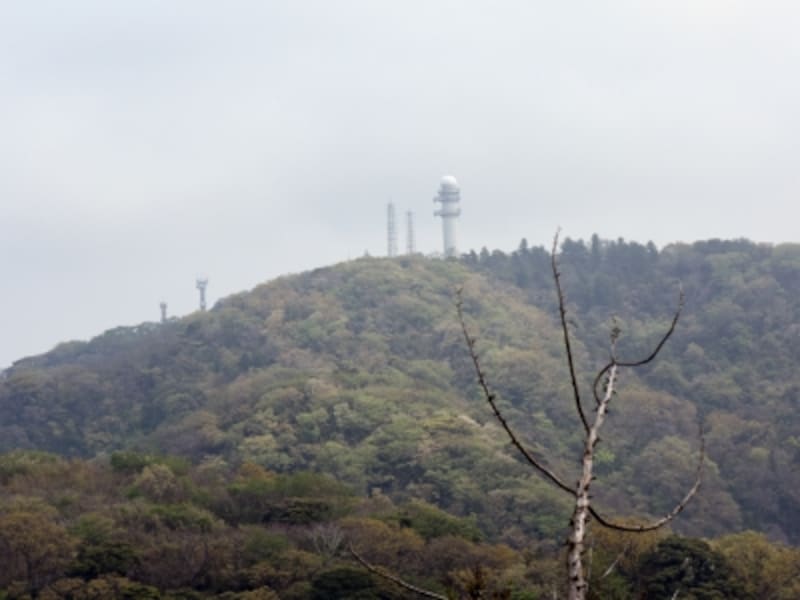 三浦半島の最高峰「大楠山」