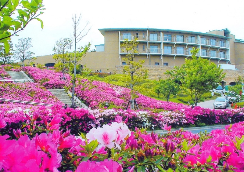 10万本のツツジが咲く、湘南国際村undefined写真提供：湘南国際村センター