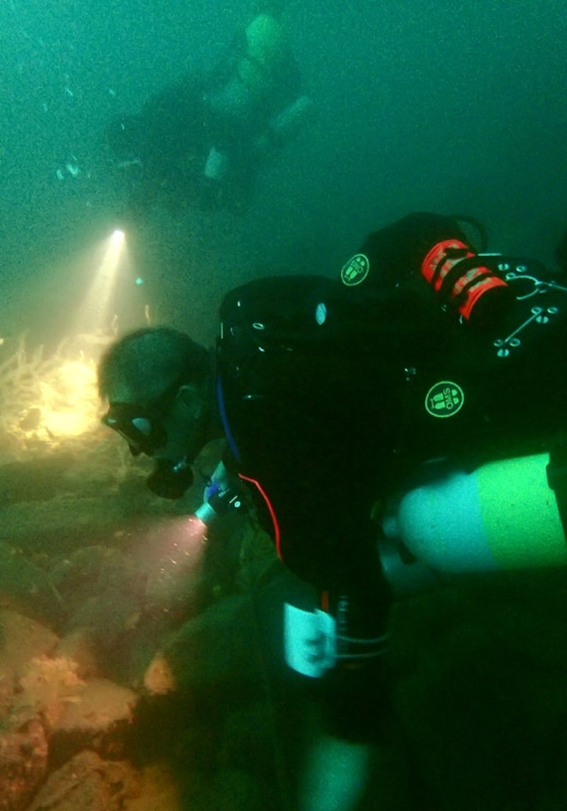 スキューバダイビング,春,春濁り,注意点