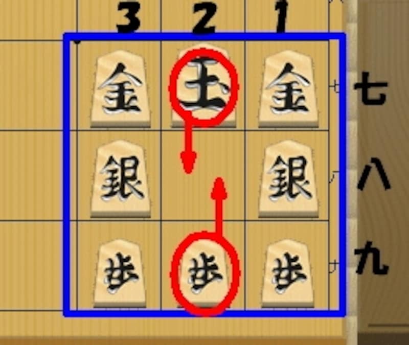 はじめに動かせるのは「歩」か「王」