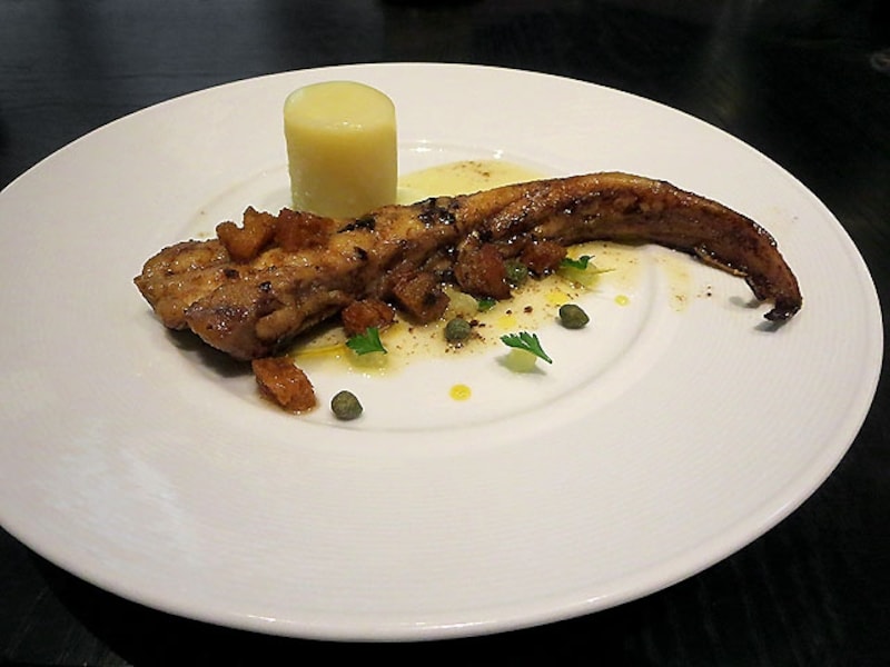 エイフィレ &quot;カスベ&quot;