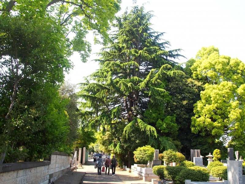 天気のいい日、墓所を歩くには日傘があったほうがいいかも