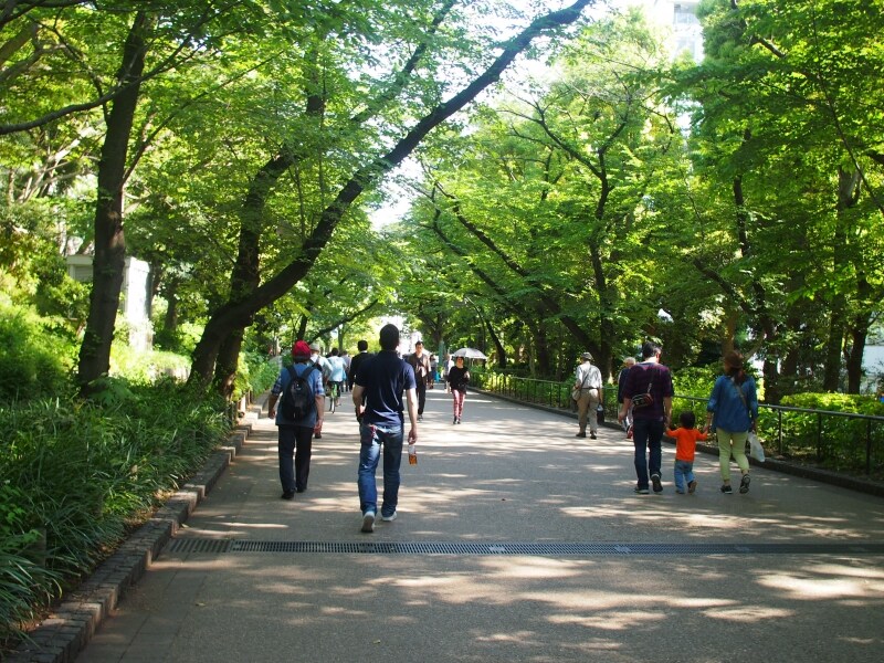 春とはまた違う景色が広がっている