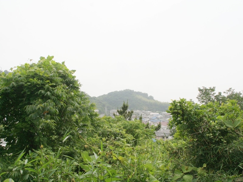 パノラマ小径より望む六国見山