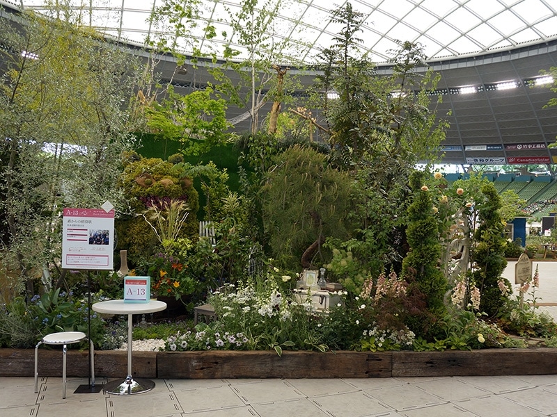 森からの招待状