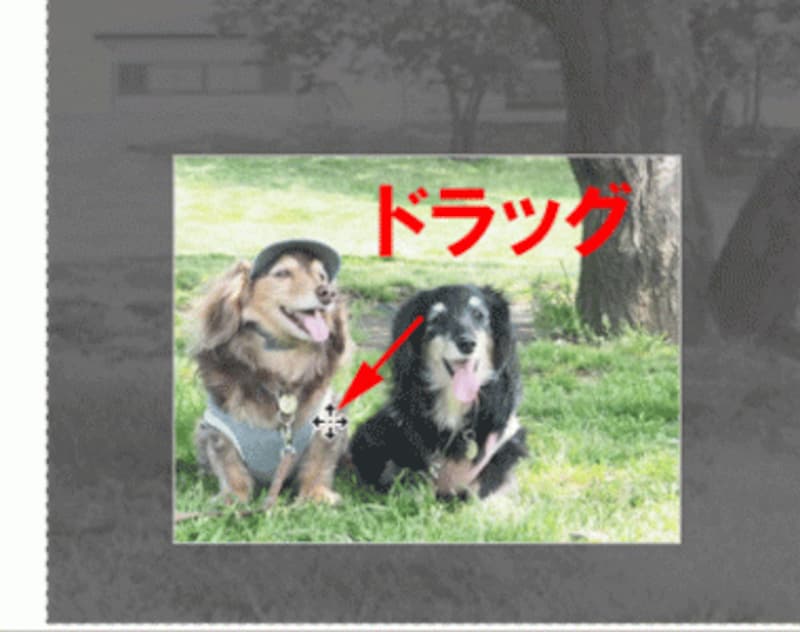 ここでは、写真を左下方向にドラッグして、犬をトリミング枠の左下に配置した。