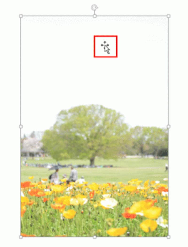 写真をクリックすると、写真を選択できる。周囲の白いハンドルは「サイズ変更ハンドル」と呼ばれるハンドルで、ドラッグすると写真を拡大/縮小できる。