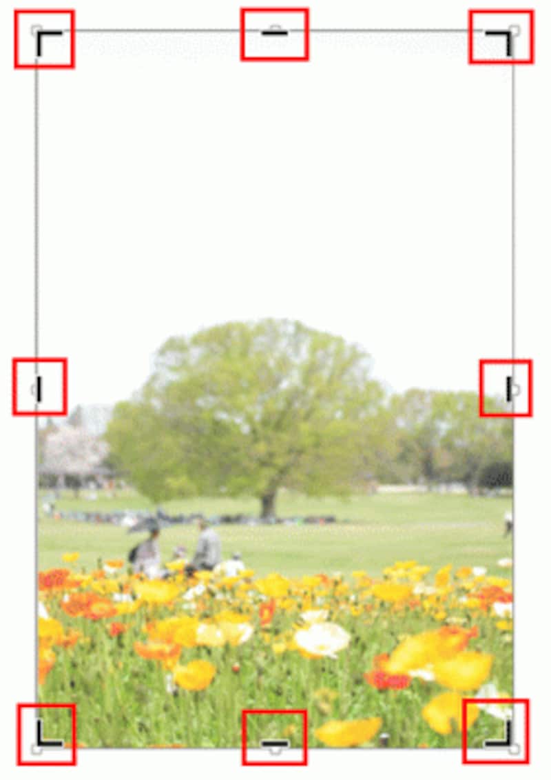 写真の周りに黒い鍵型ハンドルが8か所表示される。