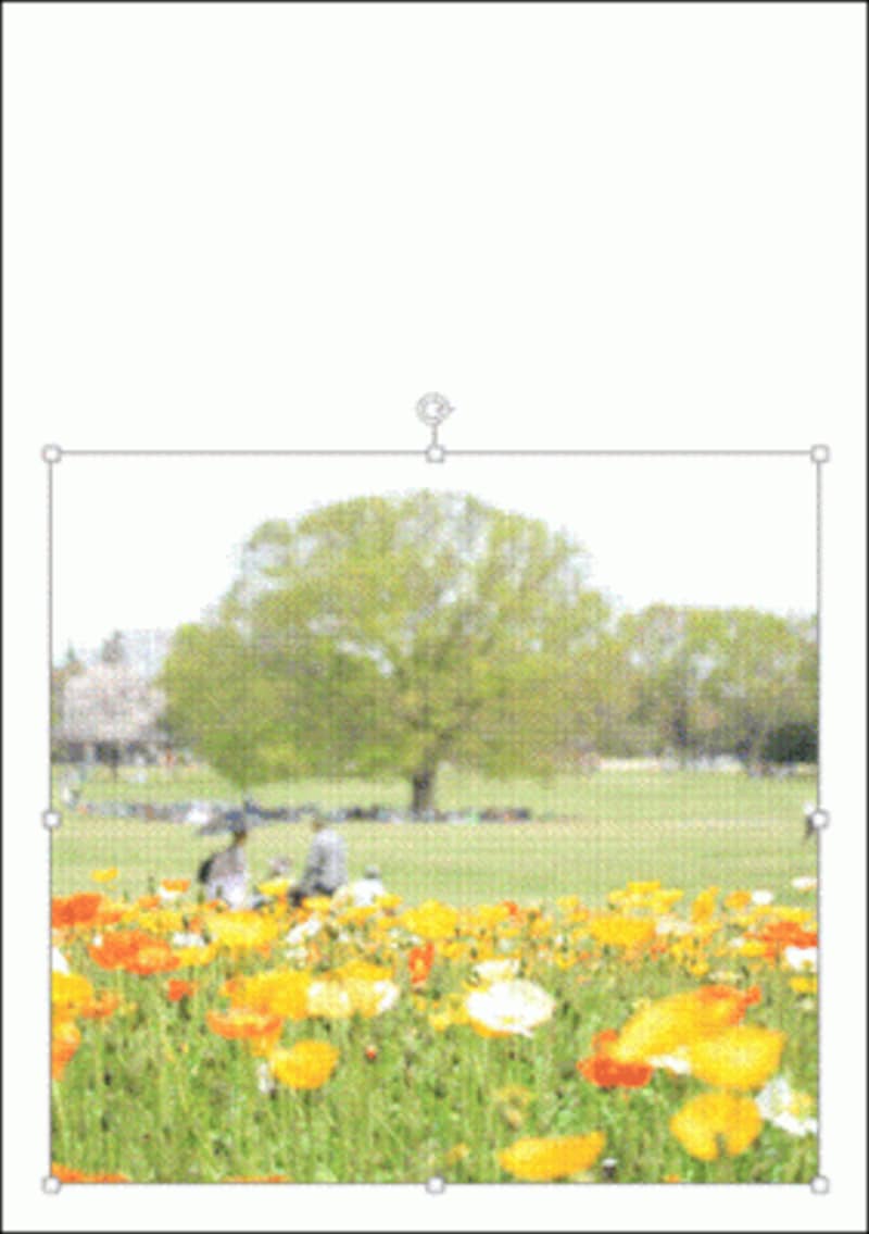 写真上部の空の部分を削除できた。