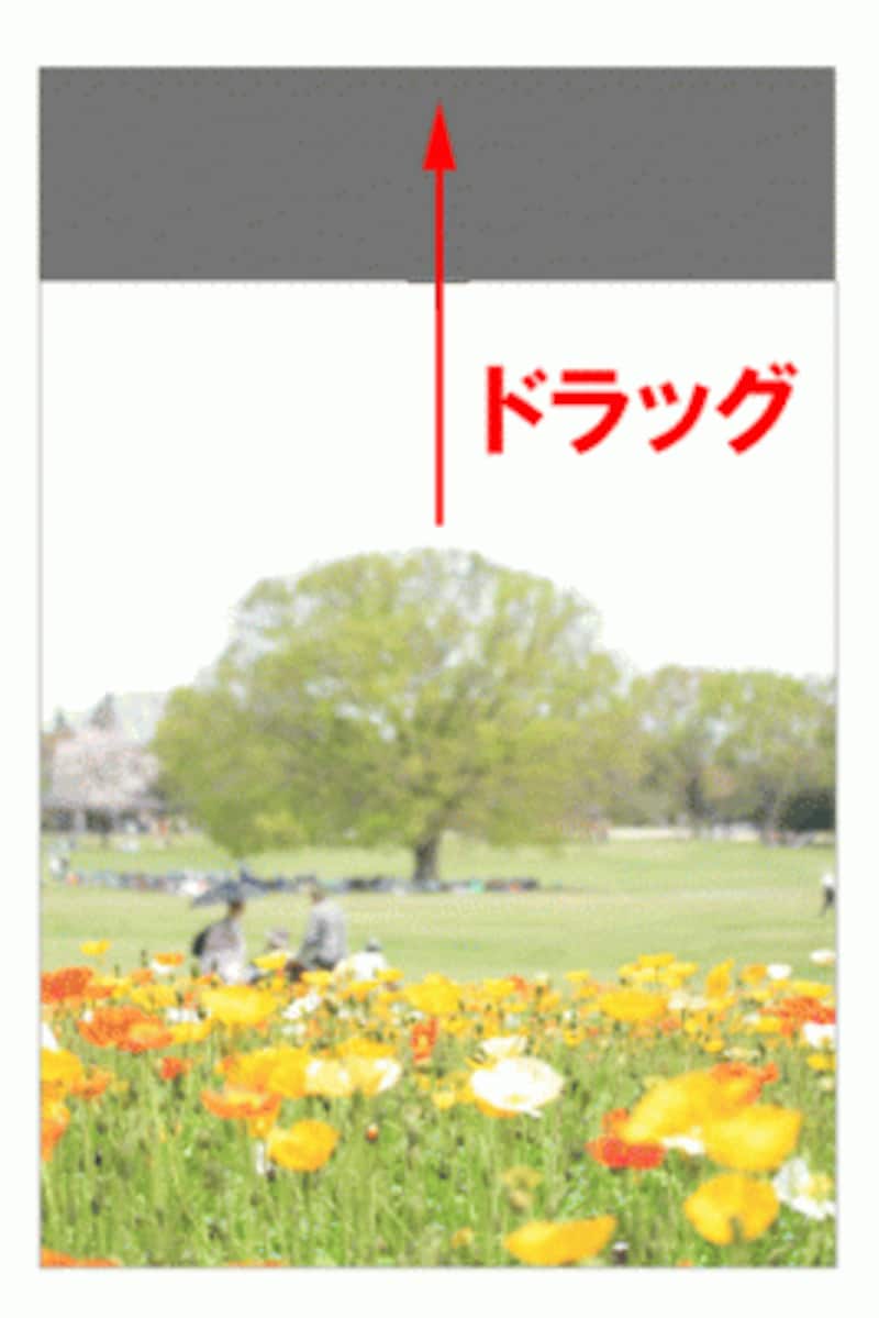 トリミングで削除した領域は残っているので、何度でもやり直せる。