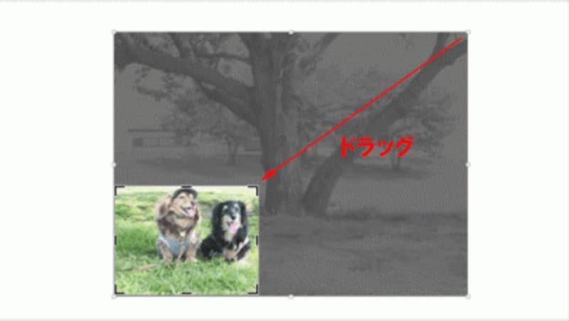 写真を選択し、「図ツール」-「書式」タブの「トリミング」ボタンをクリック。写真の周りの黒い鍵型ハンドルをドラッグしてトリミングを行う。