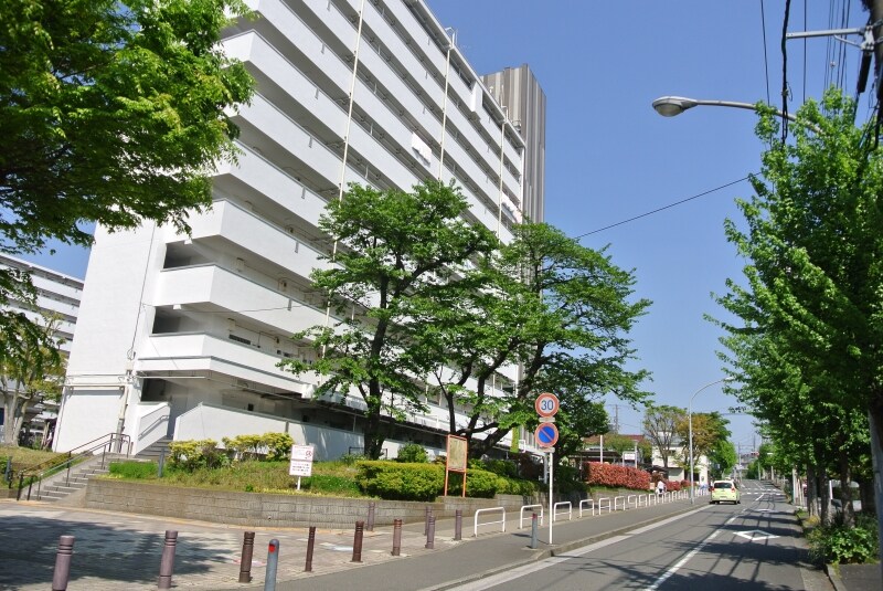 「洋光台中央」の団地周辺